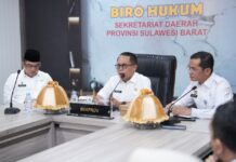 Penanganan Stunting hingga Pernikahan Anak Butuh Multi Sektor, Pemprov Sulbar Siapkan Ranpergub Pastipadu