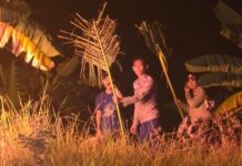 Kapolres Polman Pimpin Langsung Pemadaman Kebakaran 3 Hektare Lahan di Pulau Battoa
