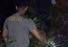 Kebakaran Hutan Sumare Mengamuk, Polisi dan Damkar Berjibaku Jinakkan Api