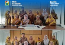 Dinkes Majene Perkuat Program Kesehatan Tradisional di Puskesmas