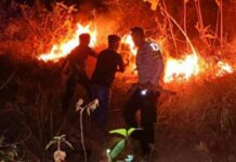 Suplai BBM Jadi Ancaman Baru Karhutla di Majene, BPBD Ingatkan Warga Waspada