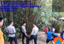 Petugas Damkar Berhasil Jinakkan Kebakaran Kebun Bambu di Pamboqborang Majene