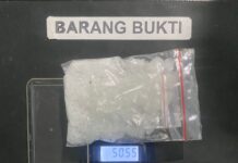 Sabu 50,55 Gram Diamankan, Satresnarkoba Polman Bongkar Dugaan Jaringan Polewali-Pinrang