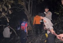 Pantang Menyerah! Polresta Mamuju Jibaku Padamkan Karhutla dari Pagi hingga Malam