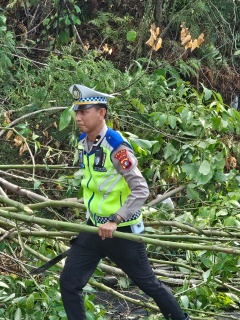 IMG-20260928-WA0012