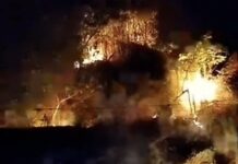 Kebakaran Hutan di Perbatasan Desa Sulai–Salutambung, Sejumlah Kebun Warga Ludes Terbakar