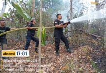 Tangani Lima Kebakaran Sehari Semalam, Satgas Karhutla Damkar Polman Lanjutkan Validasi dan Perkuat Sinergi Desa Pascakebakaran