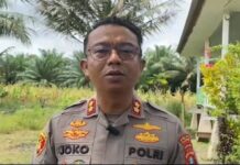 Reporter Tribun Sulbar Lapor Polisi Usai Dugaan Pemukulan, Kapolres Pasangkayu: Akan Diproses Tegas
