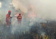 Asap Karhutla Ancam Kesehatan, Dinkes Sulbar Ingatkan Warga Waspada
