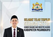Muh. Alfian Terpilih Pimpin Kadin Pasangkayu, Siap Dorong Kemajuan Dunia Usaha