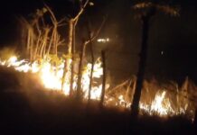 BREAKING: Karhutla di Para-Parang Majene Merambat, Api Mulai Dekati Pemukiman Warga