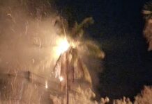 Pemadam Berhasil Hentikan Karhutla di Toppo Malunda, Namun Api Kembali Muncul Malam Hari